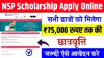 NSP Scholarship Apply online